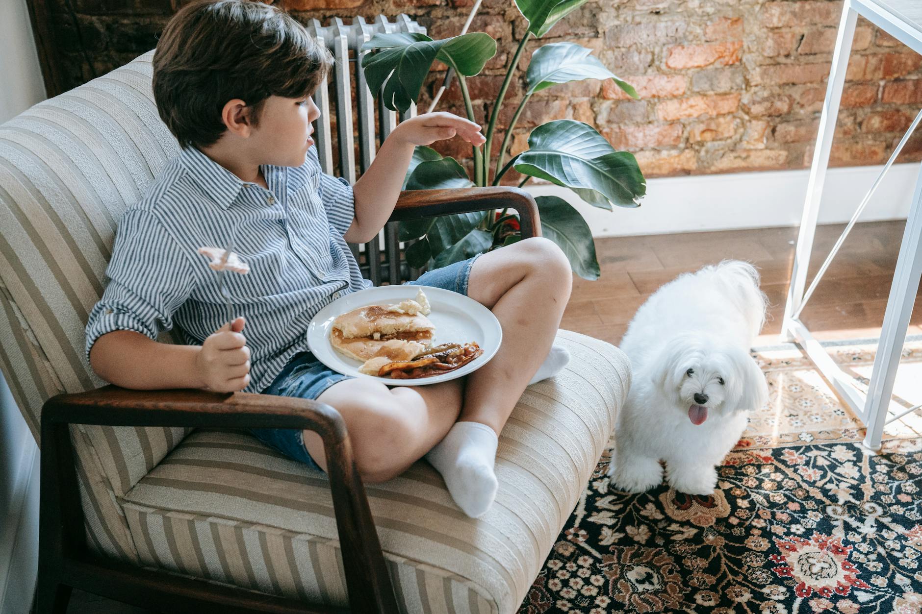 Köpeklerin çilek tüketimi: Bilmeniz gerekenler